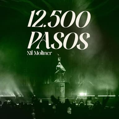 12.500 PASOS (al Palau Sant Jordi)